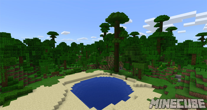 Jungle Survival Island