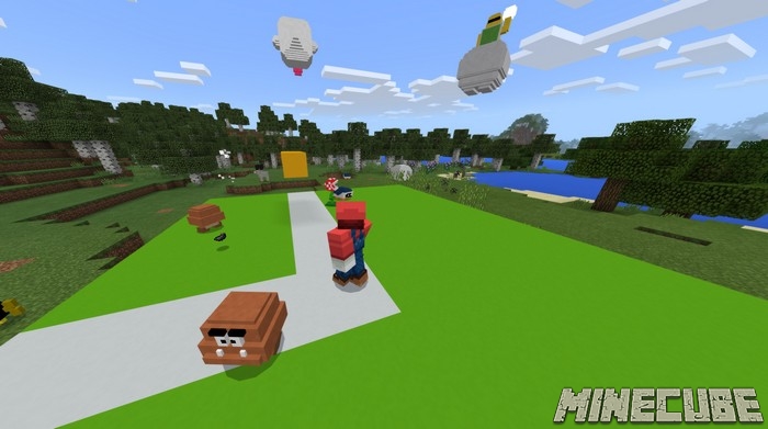 Mario 3D world mod