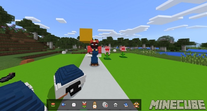 Mario 3D world mod