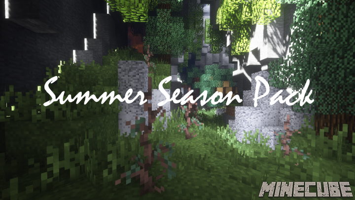 Summer Season Resource Pack