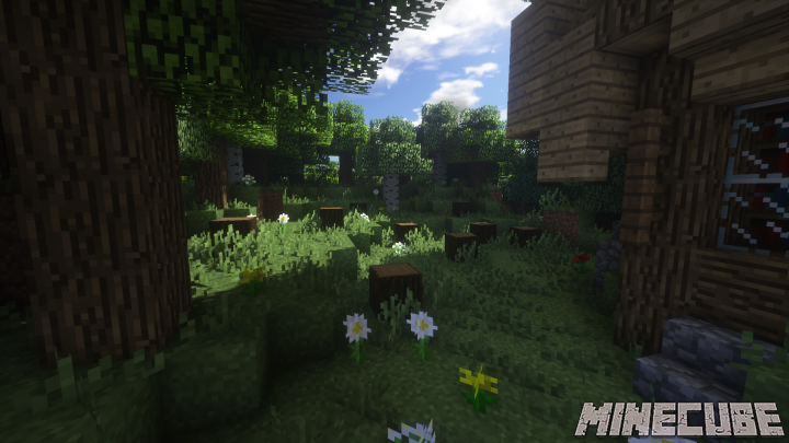 Summer Season Resource Pack