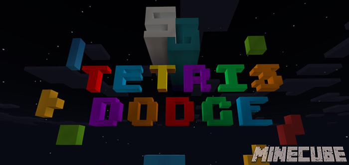 SG Tetris Dodge [Minigame]