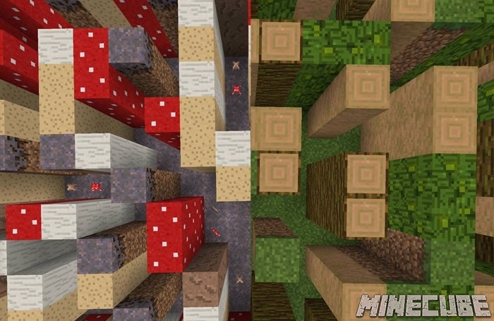 Biomes Mazes map