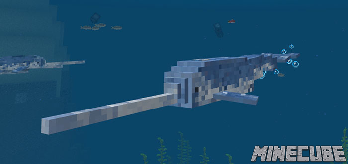 Narwhal Addon