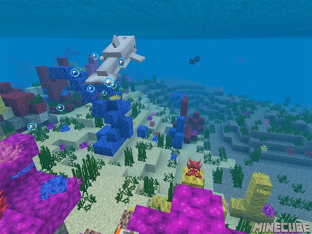 Coral Reef and Underwater Caves Seed