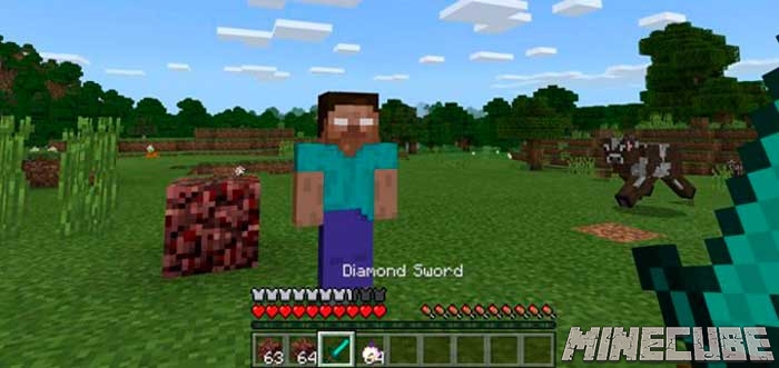 Herobrine Addon