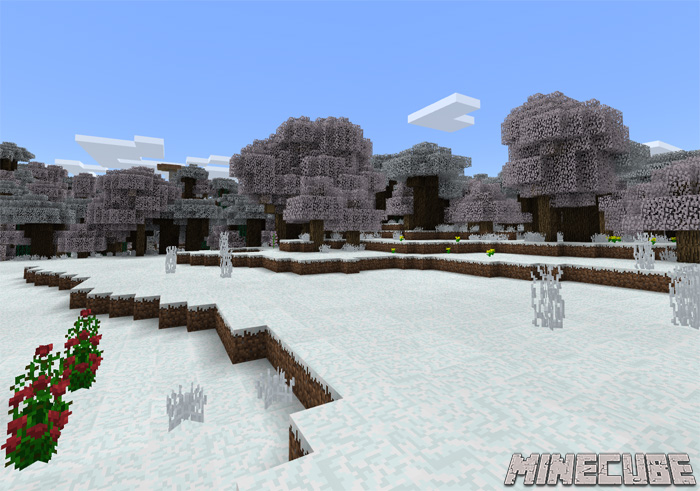 AlwaysWinter addon