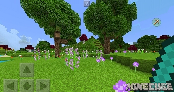 Summer Dream Texture pack