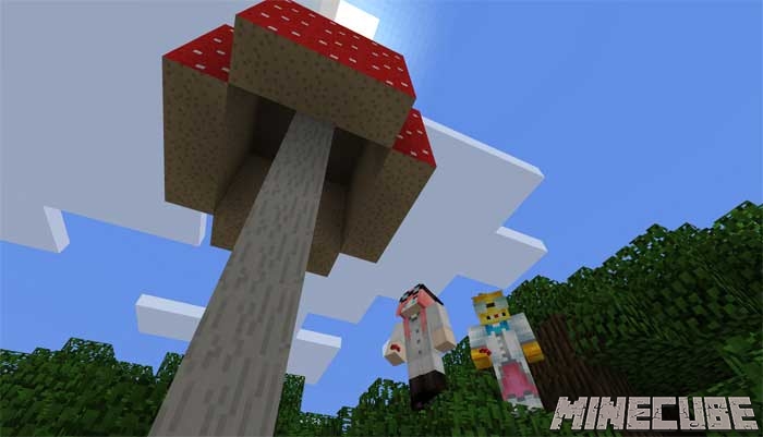 Tallest Mushroom