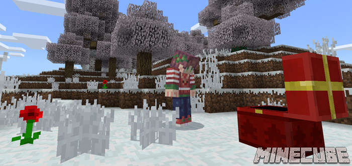 AlwaysWinter addon