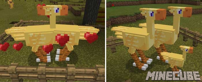 Chocobos Addon