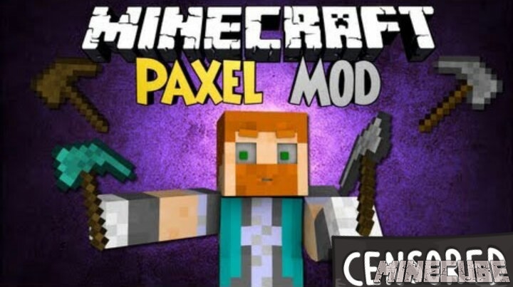 Paxels mod