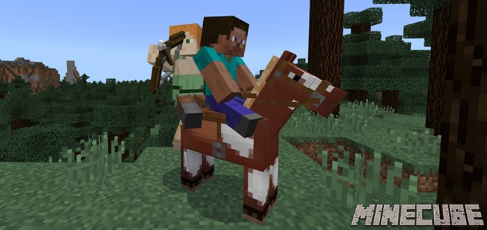 2 Player Horse Riding Addon