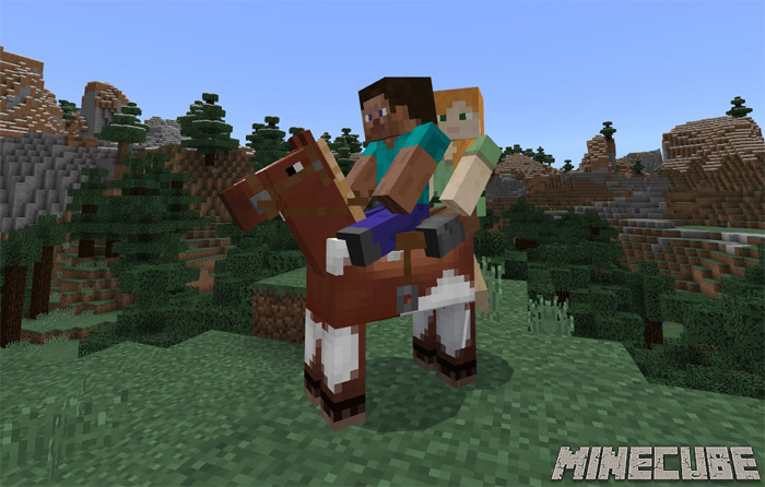 2 Player Horse Riding Addon