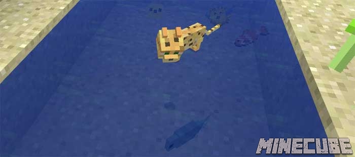 Fishes Addon