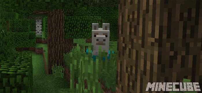 Llama Heads Pack addon