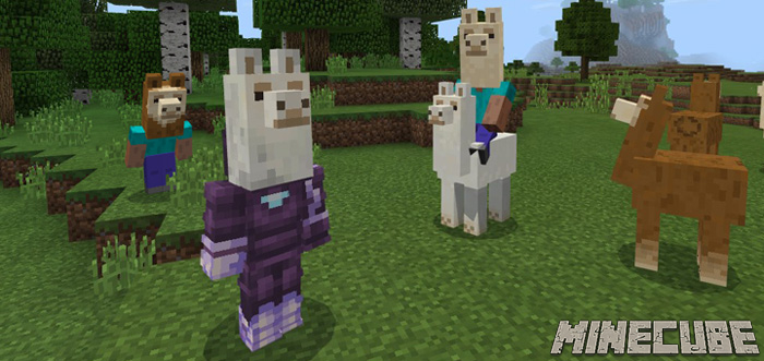 Llama Heads Pack addon