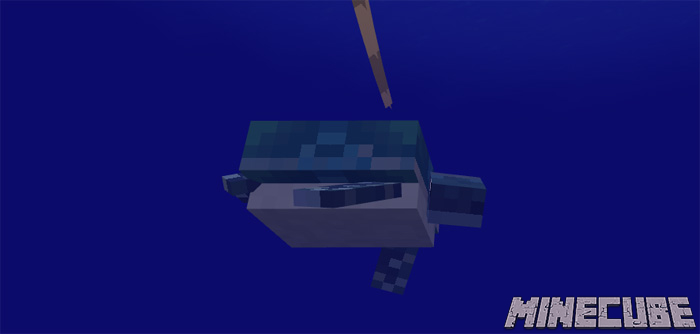 Turtles Addon