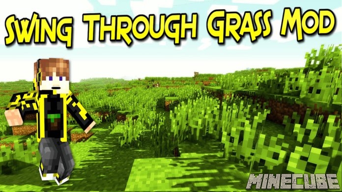 SwingThroughGrass Mod