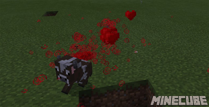 Crazy Wither Add-on