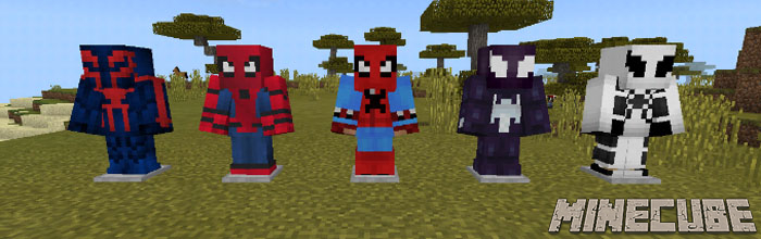 Spider-Man Add-on