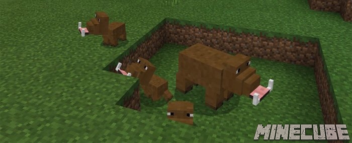 Boar Addon