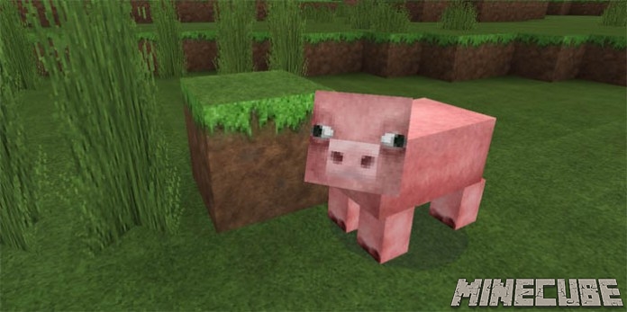 R3D.CRAFT Smooth Realism PE Texture Pack